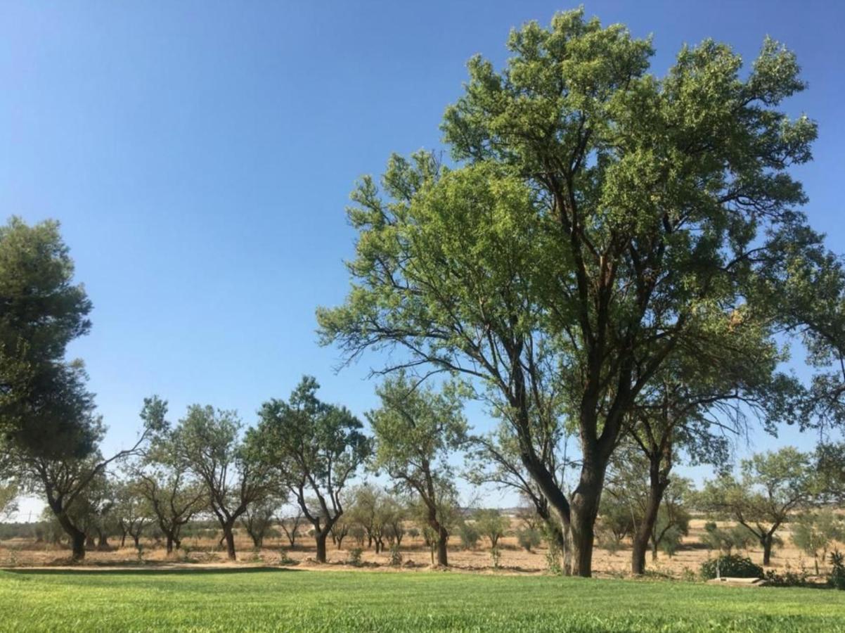Finca El Relax Colmenar de Oreja Exteriör bild